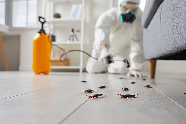 Commercial Kitchen Cockroach Control in Dunlap